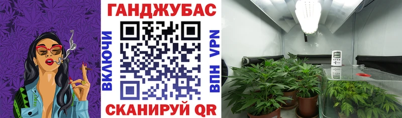 Цена Пошехонье Гашиш  СОЛЬ  Меф мяу мяу 
