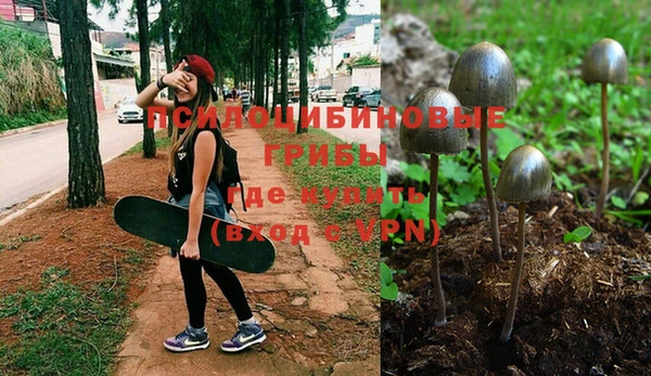 дурь Абаза