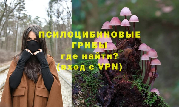 ПСИЛОЦИБИНОВЫЕ ГРИБЫ Абдулино