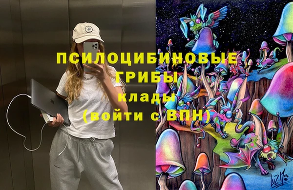 ешки Алзамай