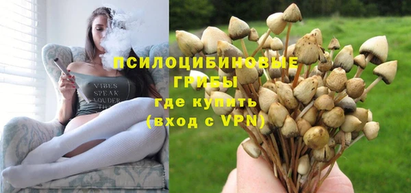 ешки Алзамай