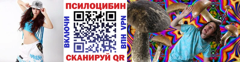 как найти закладки  Пошехонье  Галлюциногенные грибы прущие грибы 